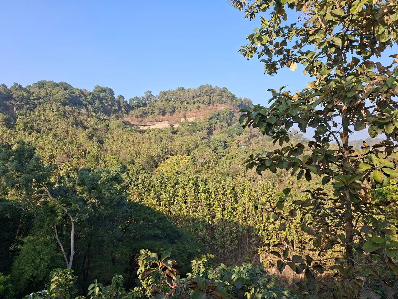 Eco-tourism based actions in Bangladesh